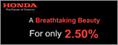 Online Campaign  - Online Banner