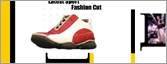 Flash Presentation, Flash Animation
