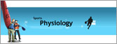 Flash Presentation, Flash Animation